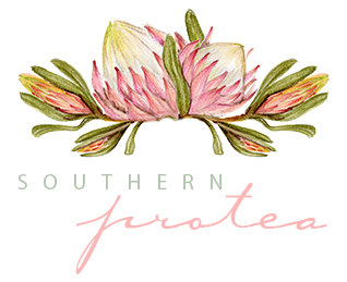 Southern Protea